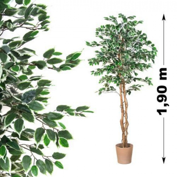Umělá rostlina - fíkus jako živý, kmen z pravého dřeva, 190 cm