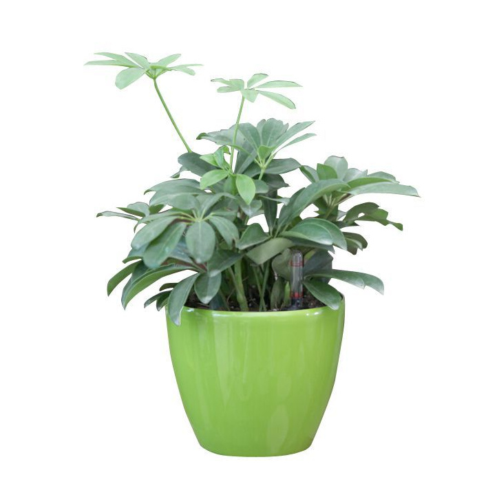 Ozdobný kulatý samozavlažovací květináč 17,5 cm, lesklá zelená