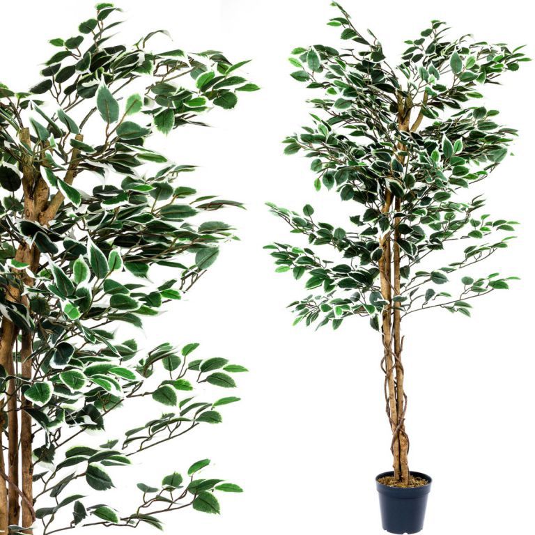 Umělá rostlina - fíkus jako živý, kmen z pravého dřeva, 160 cm